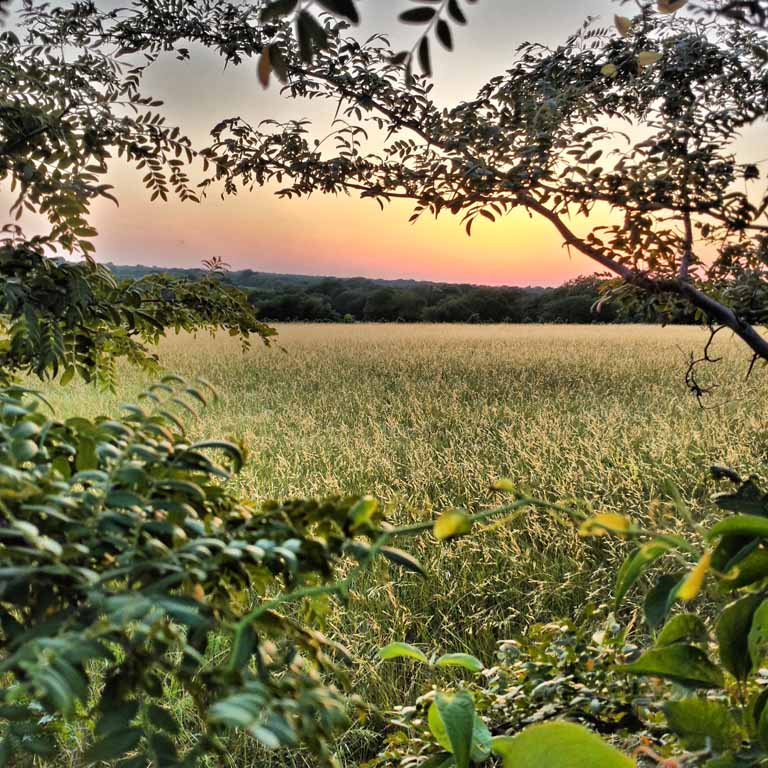 Images Around Southern Grayson County - Open Pastures