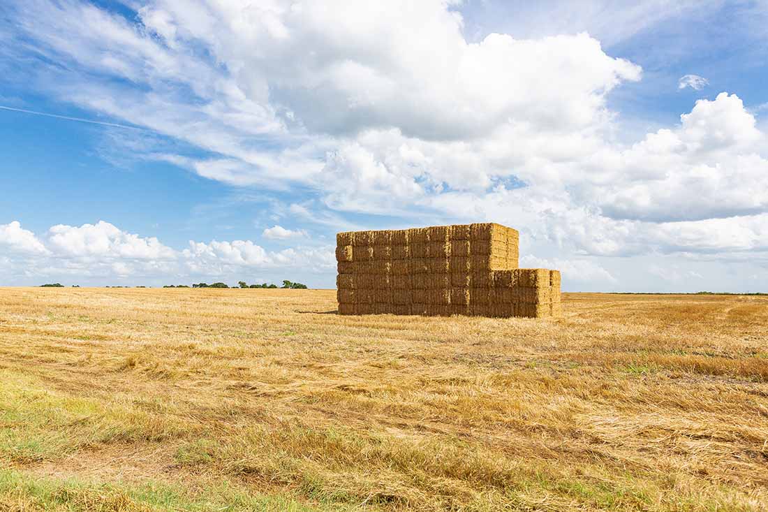 Fall Hay Ready for Winter Livestock Feed 