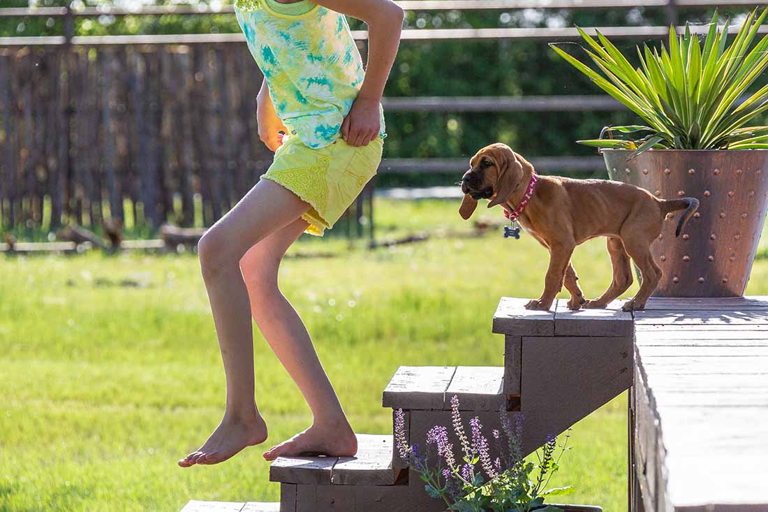 Country Livin Still the Hallmark of Grayson County