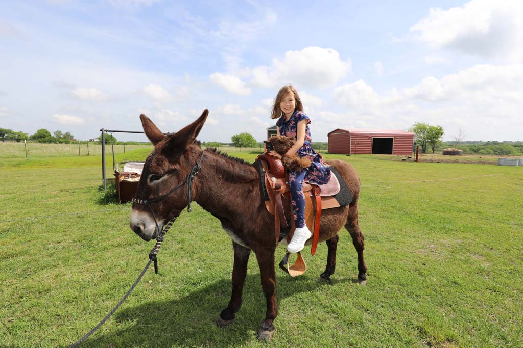 Images Around Southern Grayson County - Riding the Land